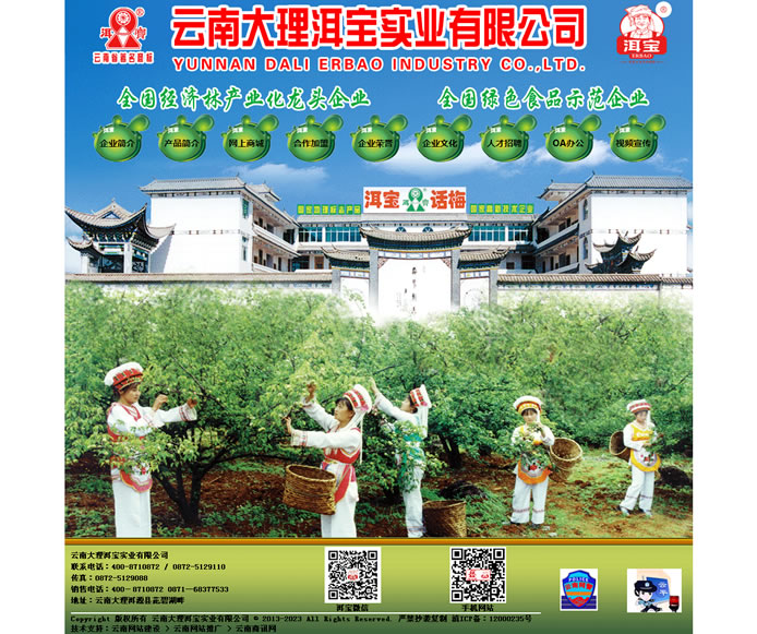 云南網(wǎng)站建設(shè)、昆明網(wǎng)站建設(shè)、云南網(wǎng)站制作、昆明網(wǎng)站制作、云南微網(wǎng)站制作、云南網(wǎng)站優(yōu)化推廣、大理網(wǎng)站建設(shè)、麗江網(wǎng)站建設(shè)、大理網(wǎng)站制作、麗江網(wǎng)站制作、保山網(wǎng)站建設(shè)、德宏網(wǎng)站建設(shè)、文山網(wǎng)站建設(shè)、楚雄網(wǎng)站建設(shè)、紅河網(wǎng)站建設(shè)、云南政府網(wǎng)站建設(shè)、普洱網(wǎng)站建設(shè)